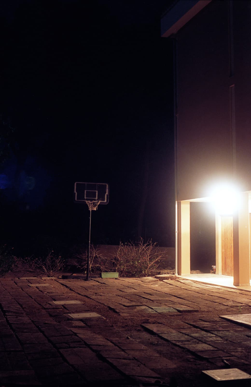 Nightwalk 02