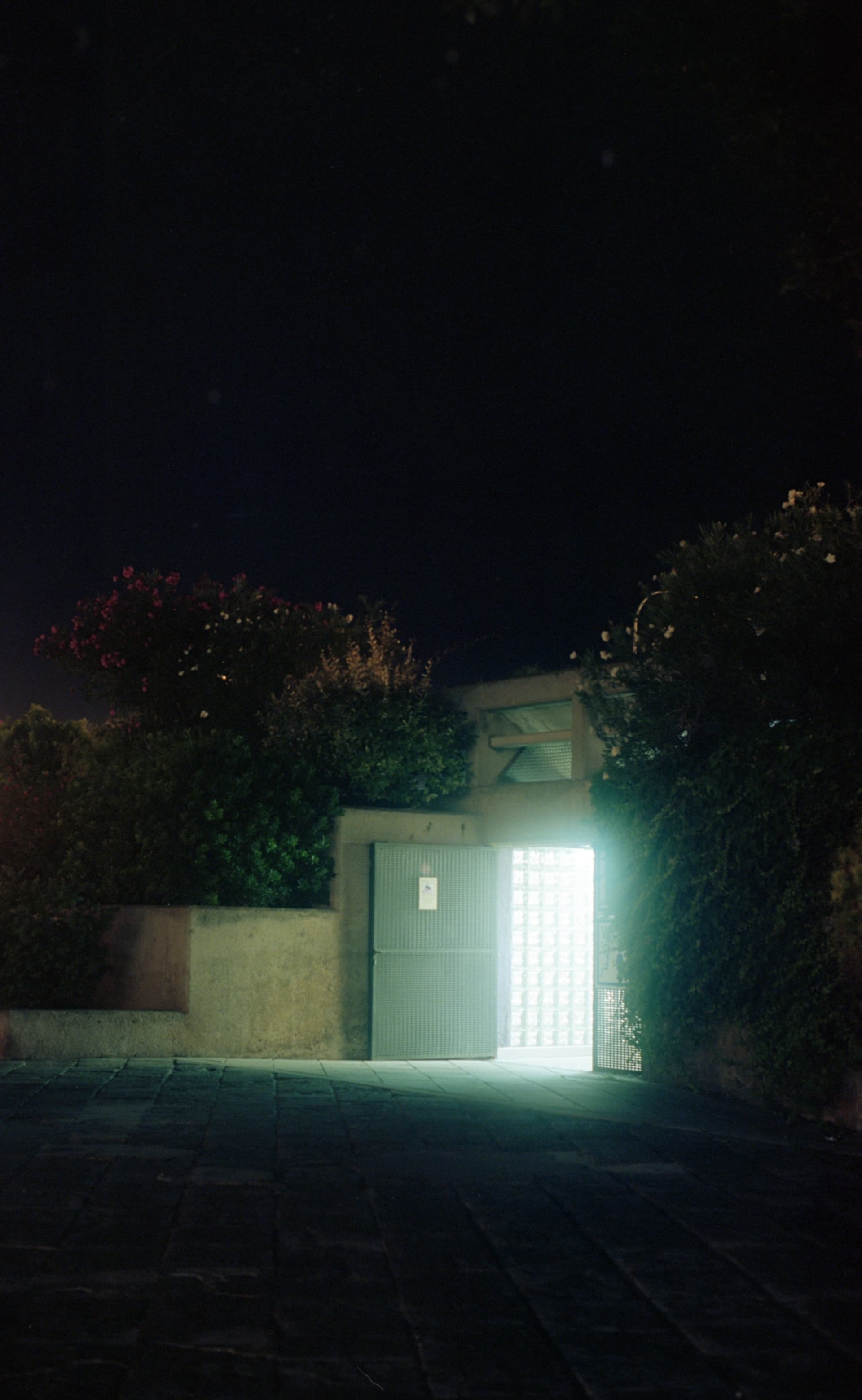 Nightwalk 03