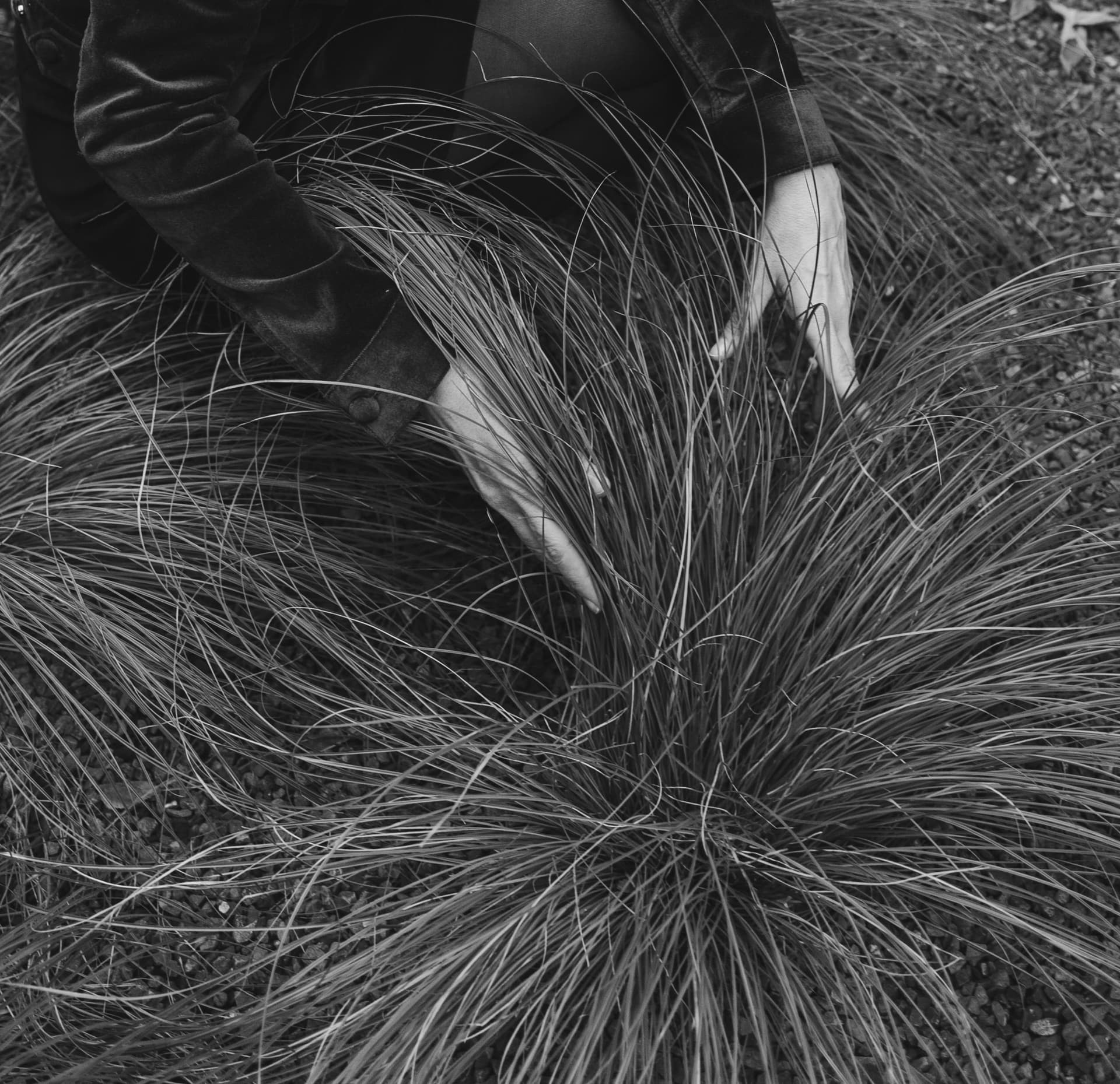 Plant detail