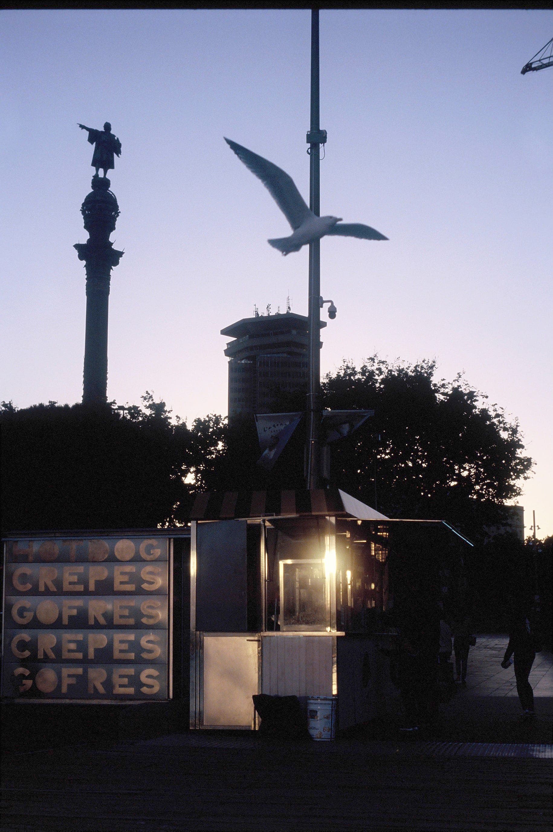Snapshots 02