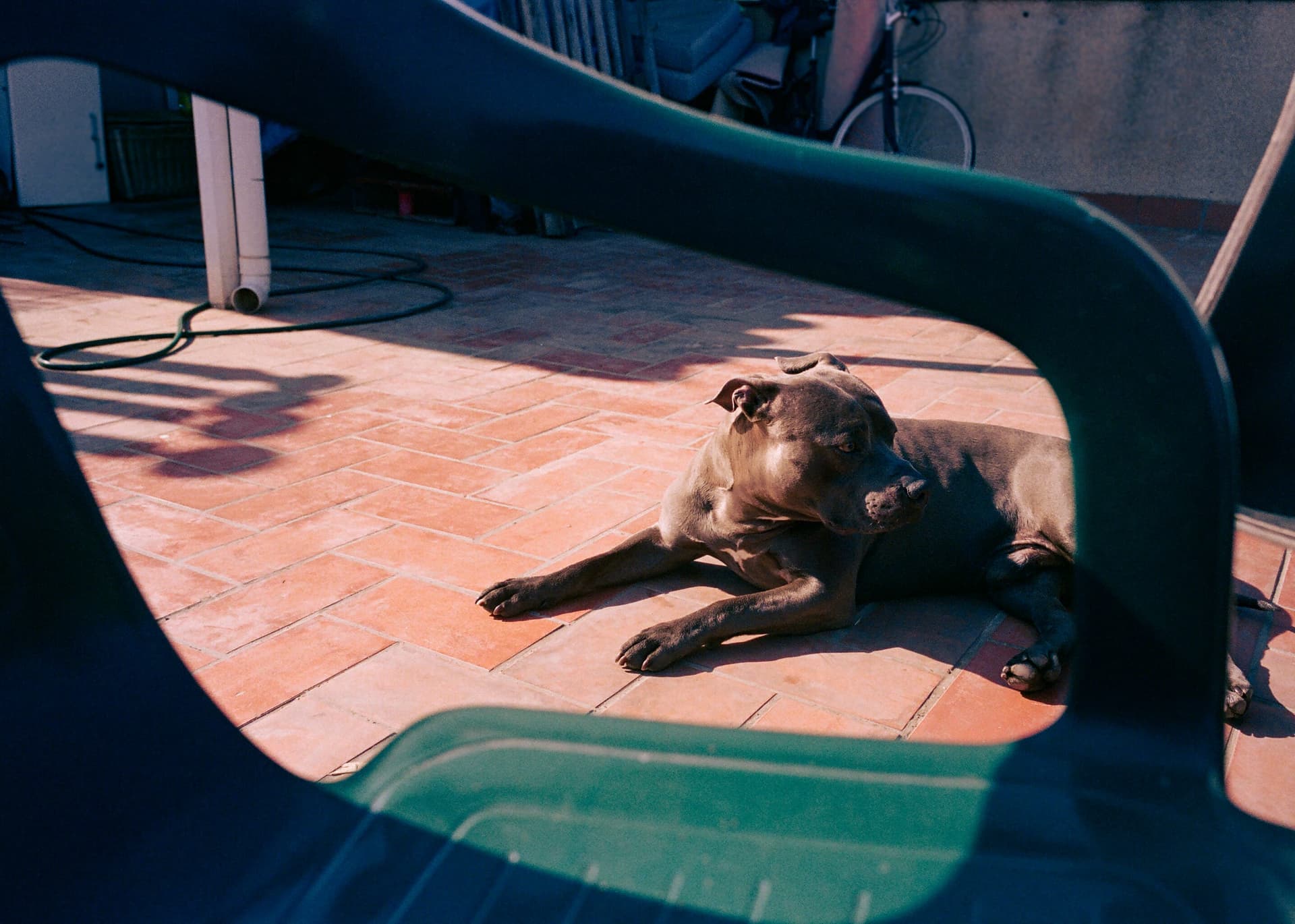 Snapshots 04